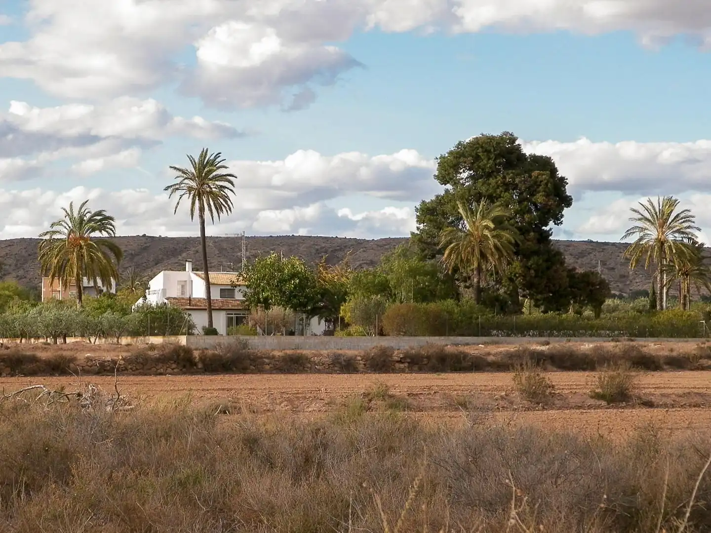 Vista exterior de Casa o chalet en venta en Elche / Elx con Calefacción, Jardín privado y Terraza