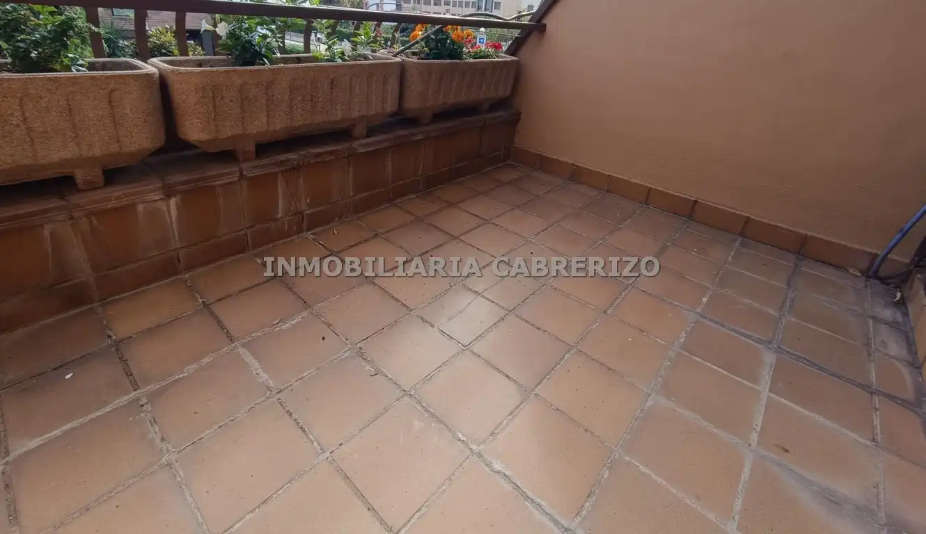 Haus mit Pool zum Verkauf in Avda. Madrid, imagen 29