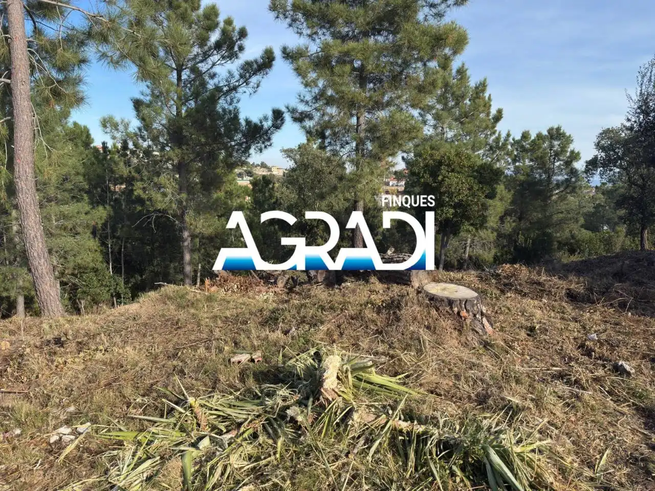 Terreny residencial en venda a Calle Perdiu 28, imagen 4