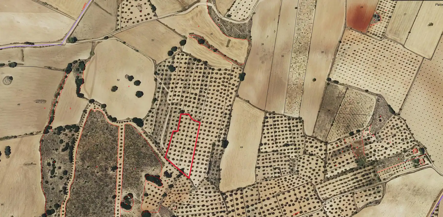 Terreno rustico in vendita a N-430 452, imagen 2