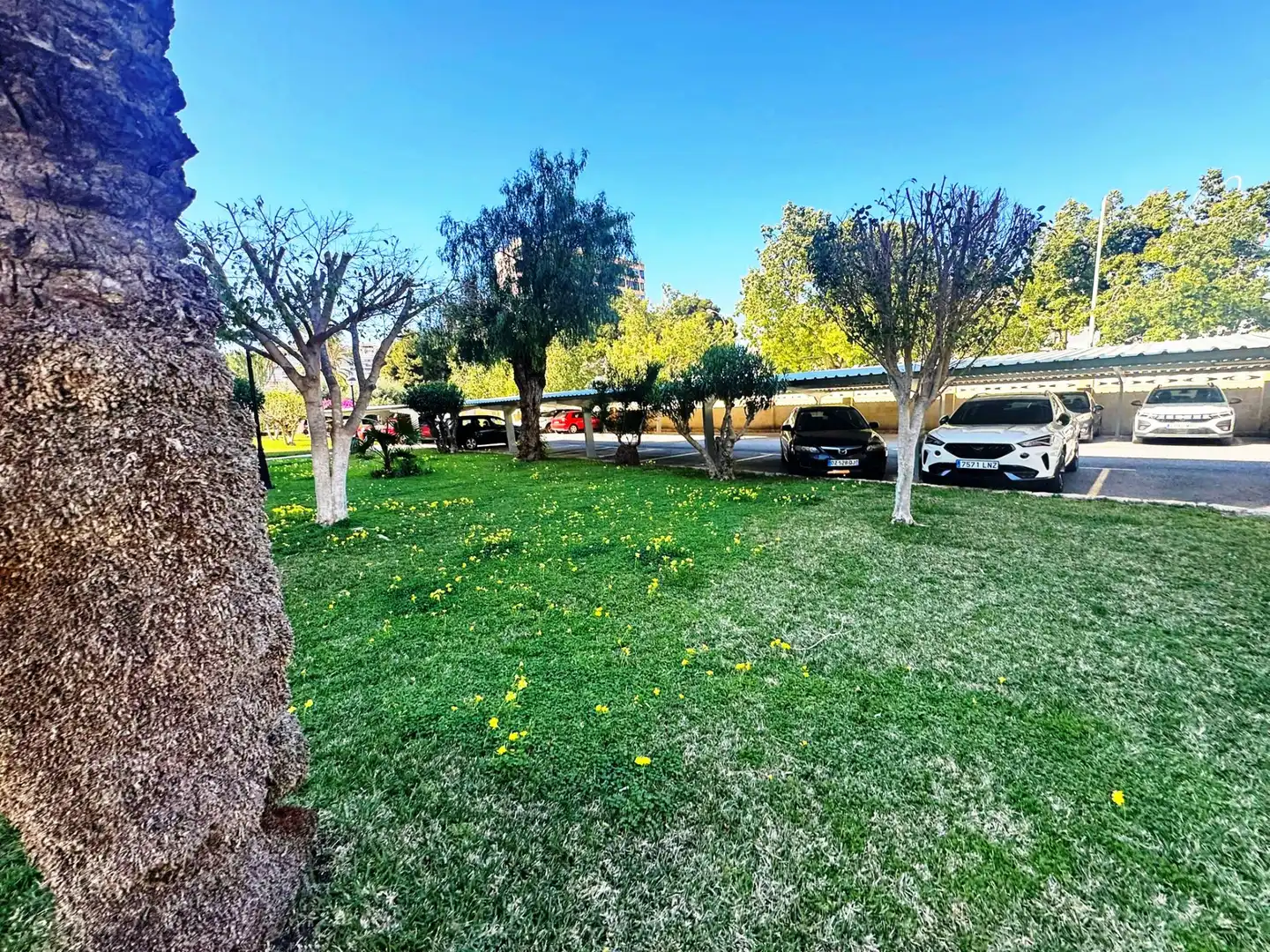 Parkplatz von Wohnungen zum Verkauf in Alicante / Alacant mit Terrasse und Möbliert