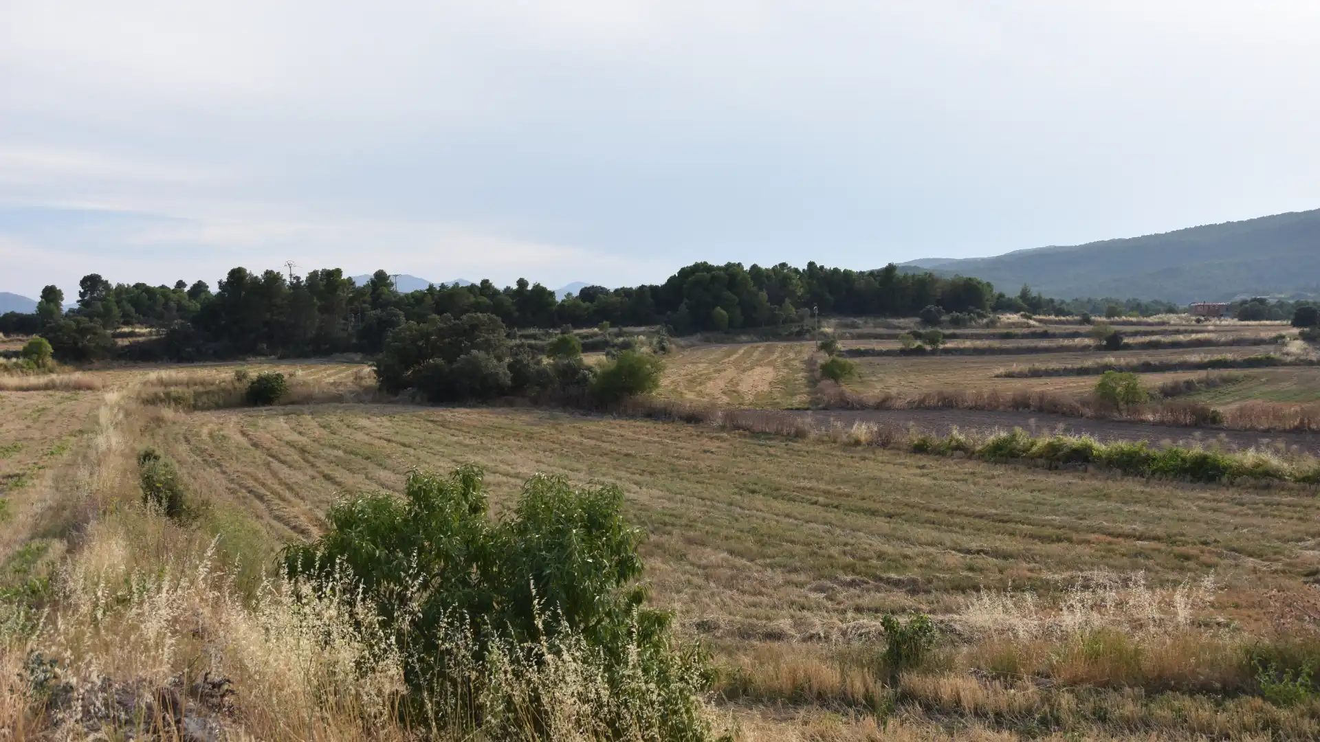 Terreno en venta en Fuentespalda