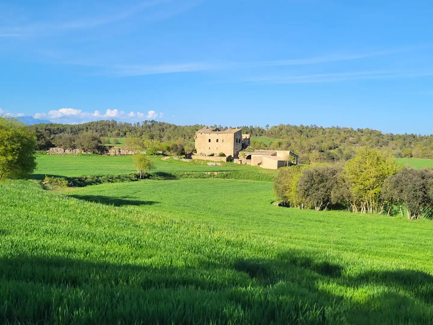 Vista exterior de Terreno en venta en Pinell de Solsonès