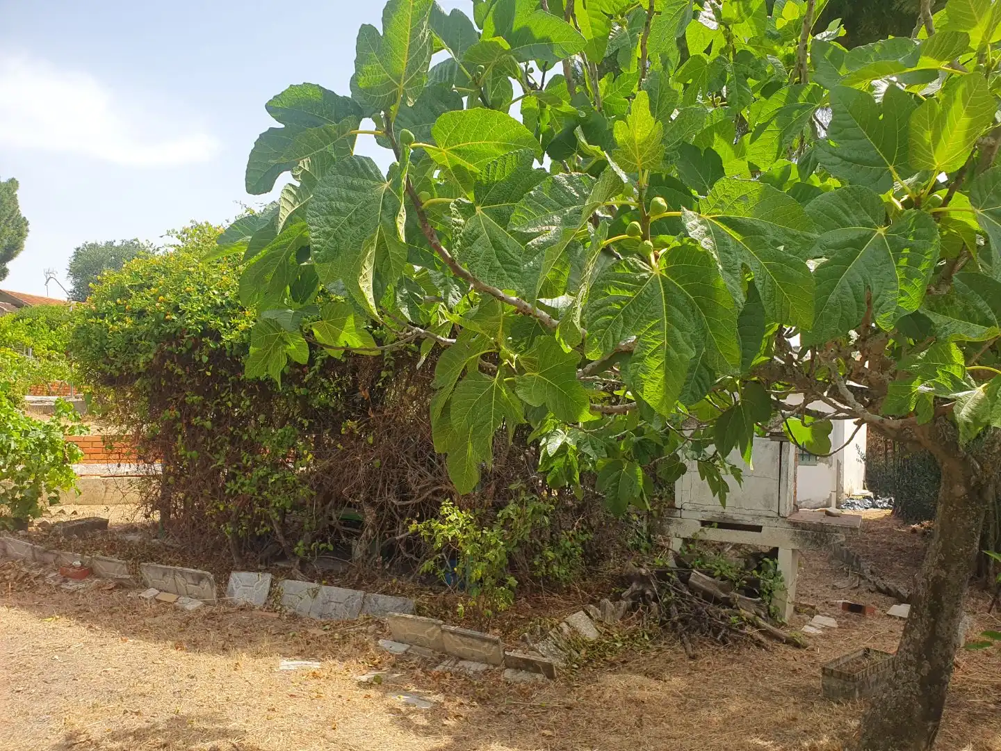 Residencial en venda en Serranillos del Valle