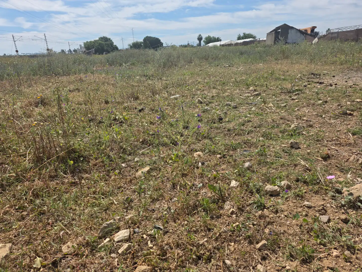 Rural land for sale in Pedanías Norte