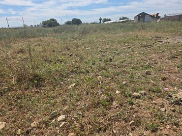 Terreno rustico in vendita a Pedanías Norte