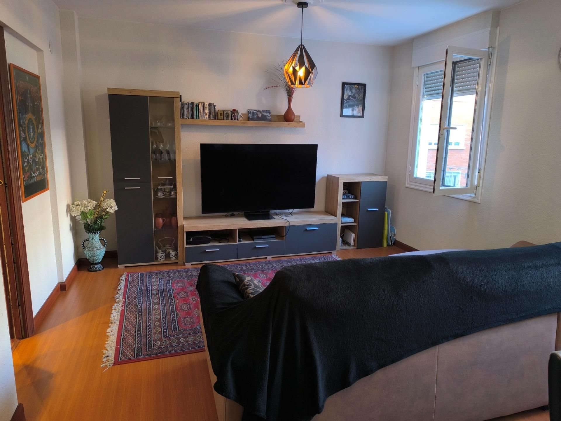 Sala d'estar de Pis en venda en Vitoria - Gasteiz amb Calefacció i Terrassa