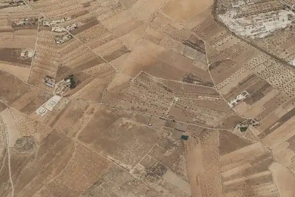 Finca rústica en venta en Algueña