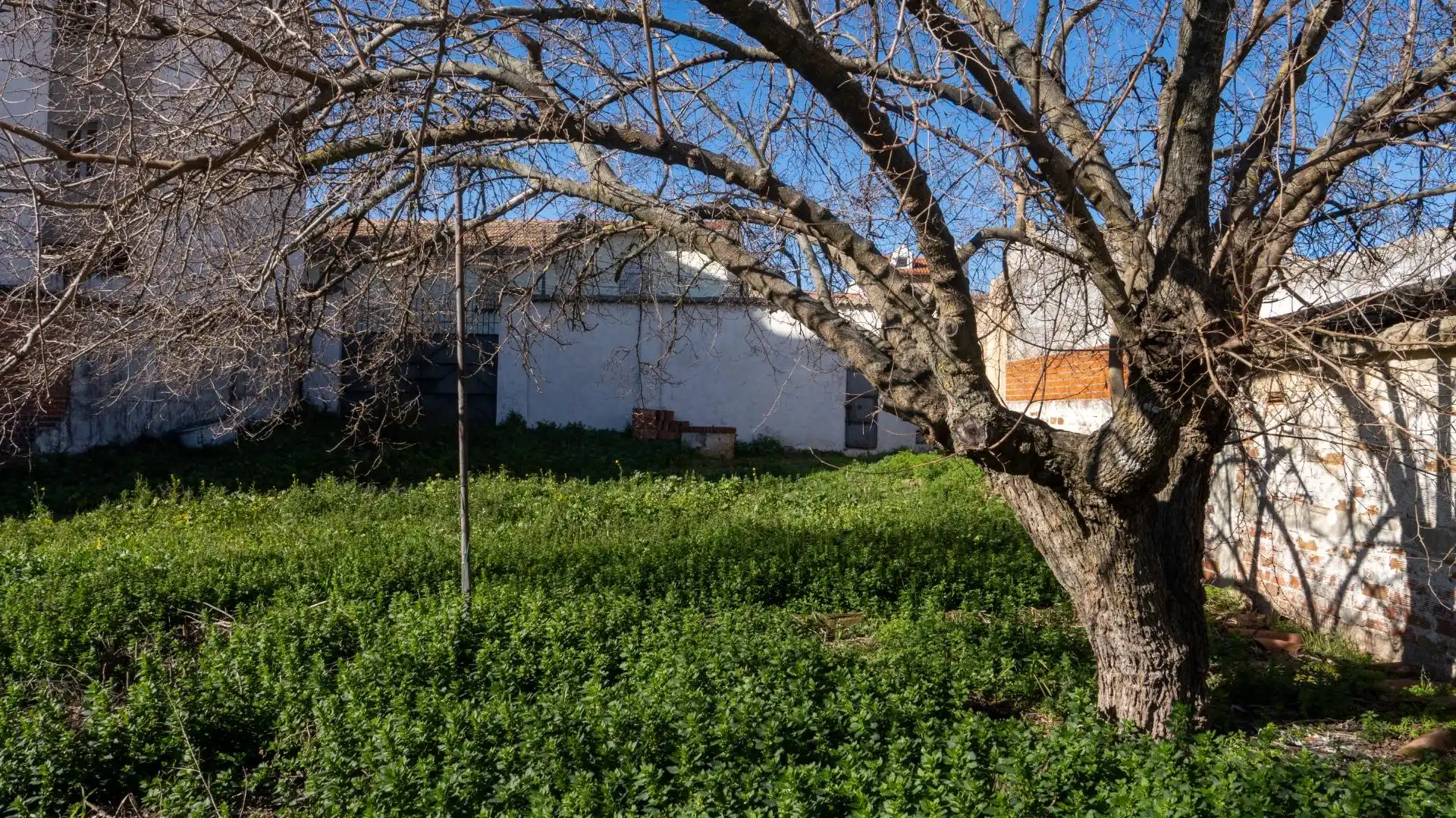 Xalet amb terrassa en venda a Calle PALACIO, imagen 67