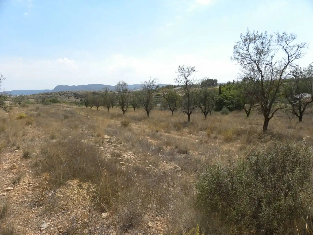 Residential land for sale in Caravaca de la Cruz, imagen 12