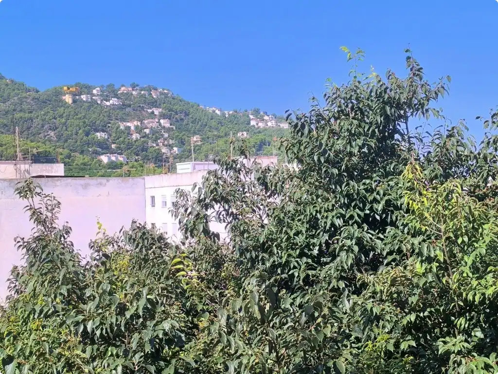Vista exterior de Piso en venta en Oliva con Aire acondicionado y Balcón