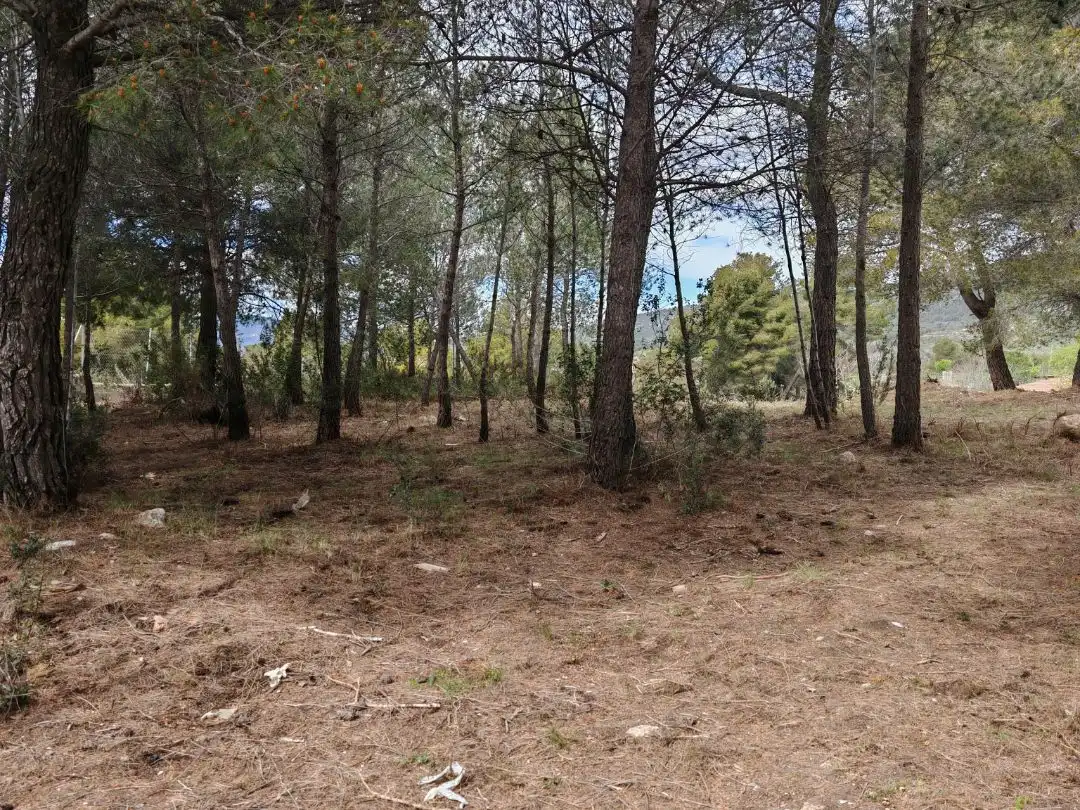 Terreny residencial en venda a Carrer Girona 188, imagen 10