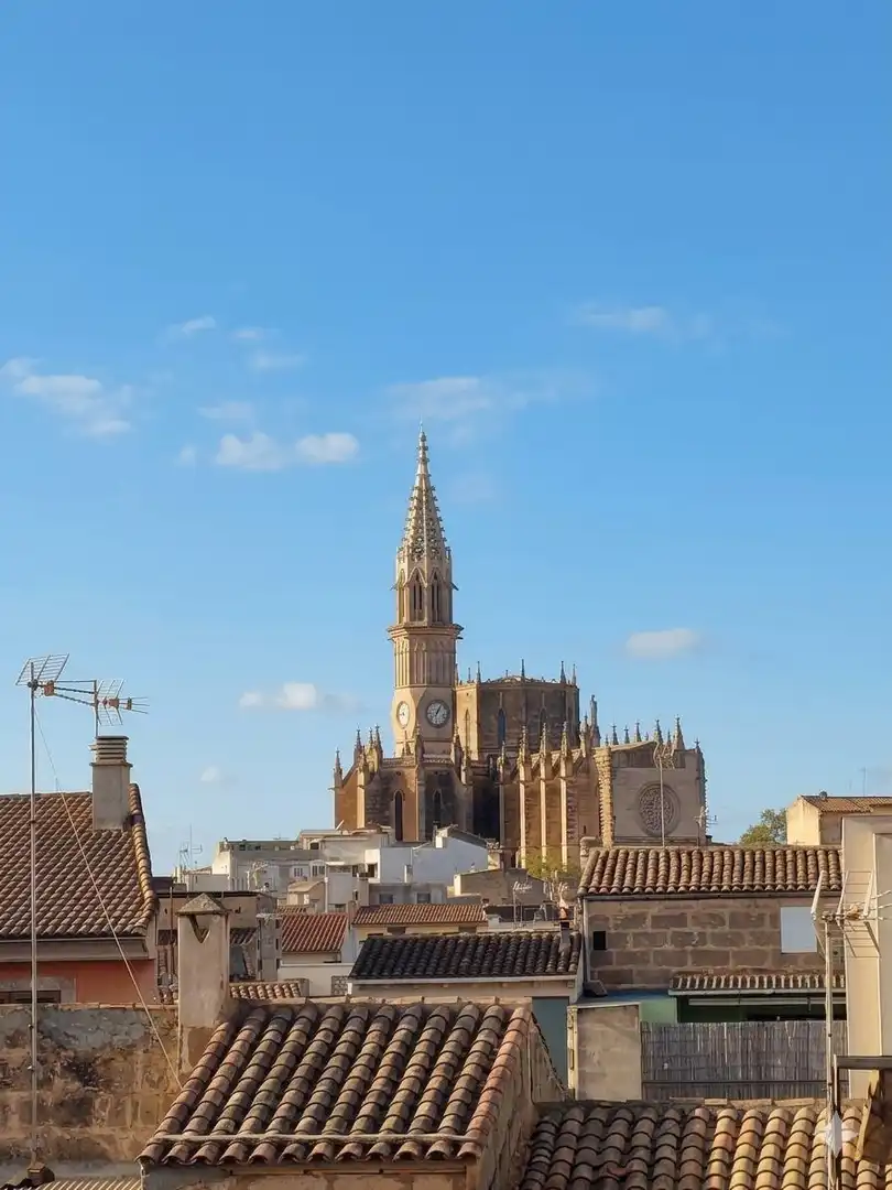 Exterior view of Detached homes for sale in Manacor  with Terrace