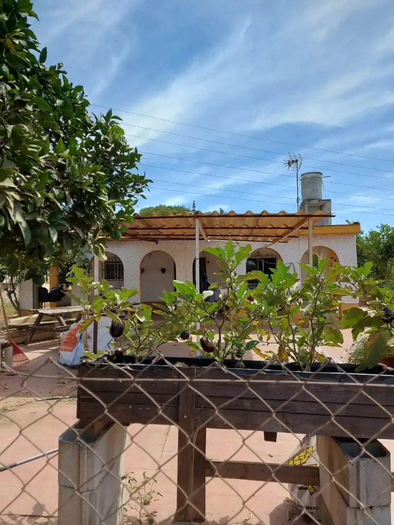 Jardí de Casa o xalet en venda en Dos Hermanas amb Terrassa, Piscina i Moblat