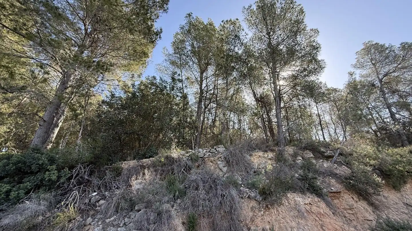 Finca rústica en venta en La Llosa de Ranes con Terraza, Trastero y Piscina