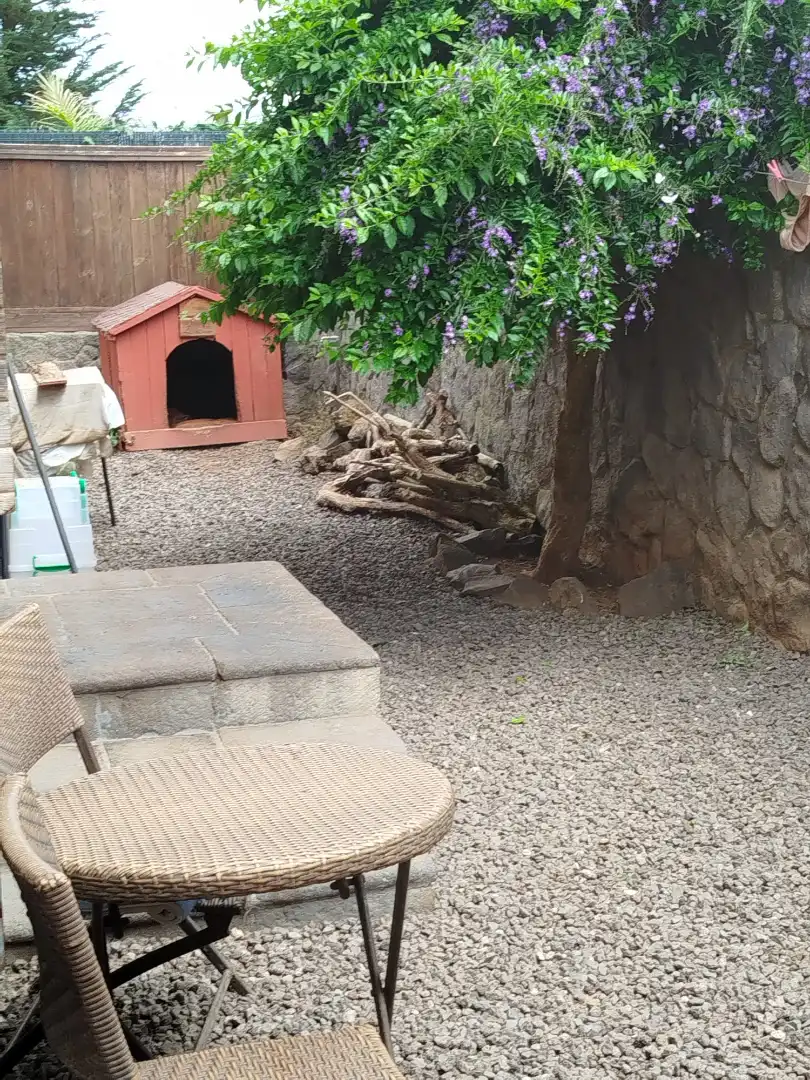 Jardín de Casa o chalet en venta en Tacoronte con Jardín privado, Terraza y Trastero