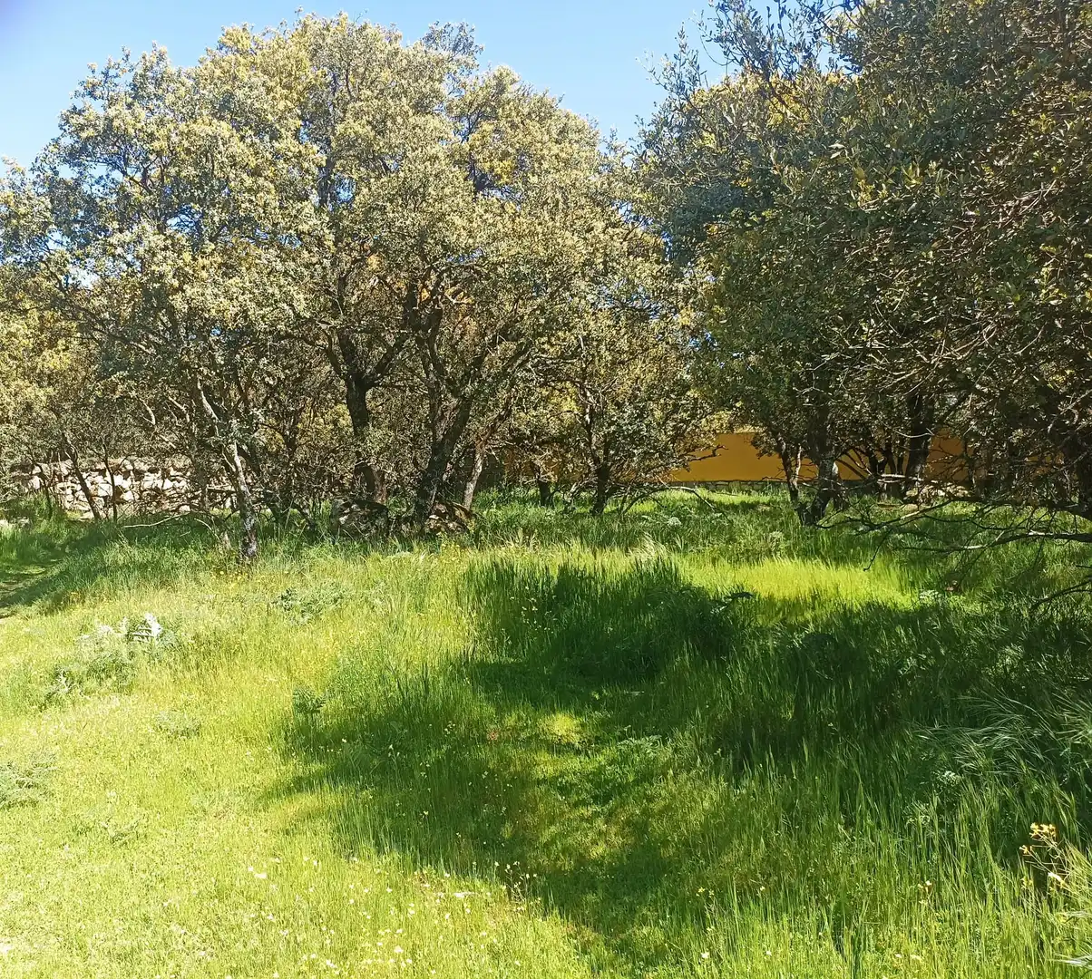 Terreny residencial en venda a Calle Virgen del Pino 41, imagen 5