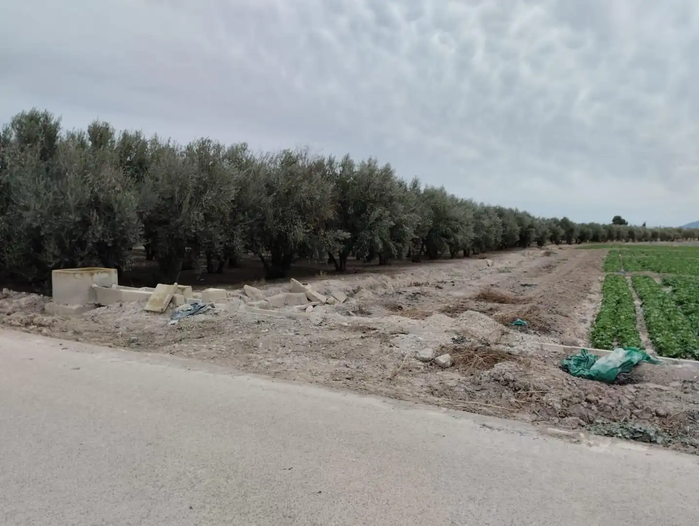 Terreny rústic en venda a Lorca Ciudad, imagen 2