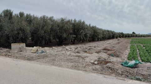 Terreno de Regadío  La Hoya, Lorca, immagine 2
