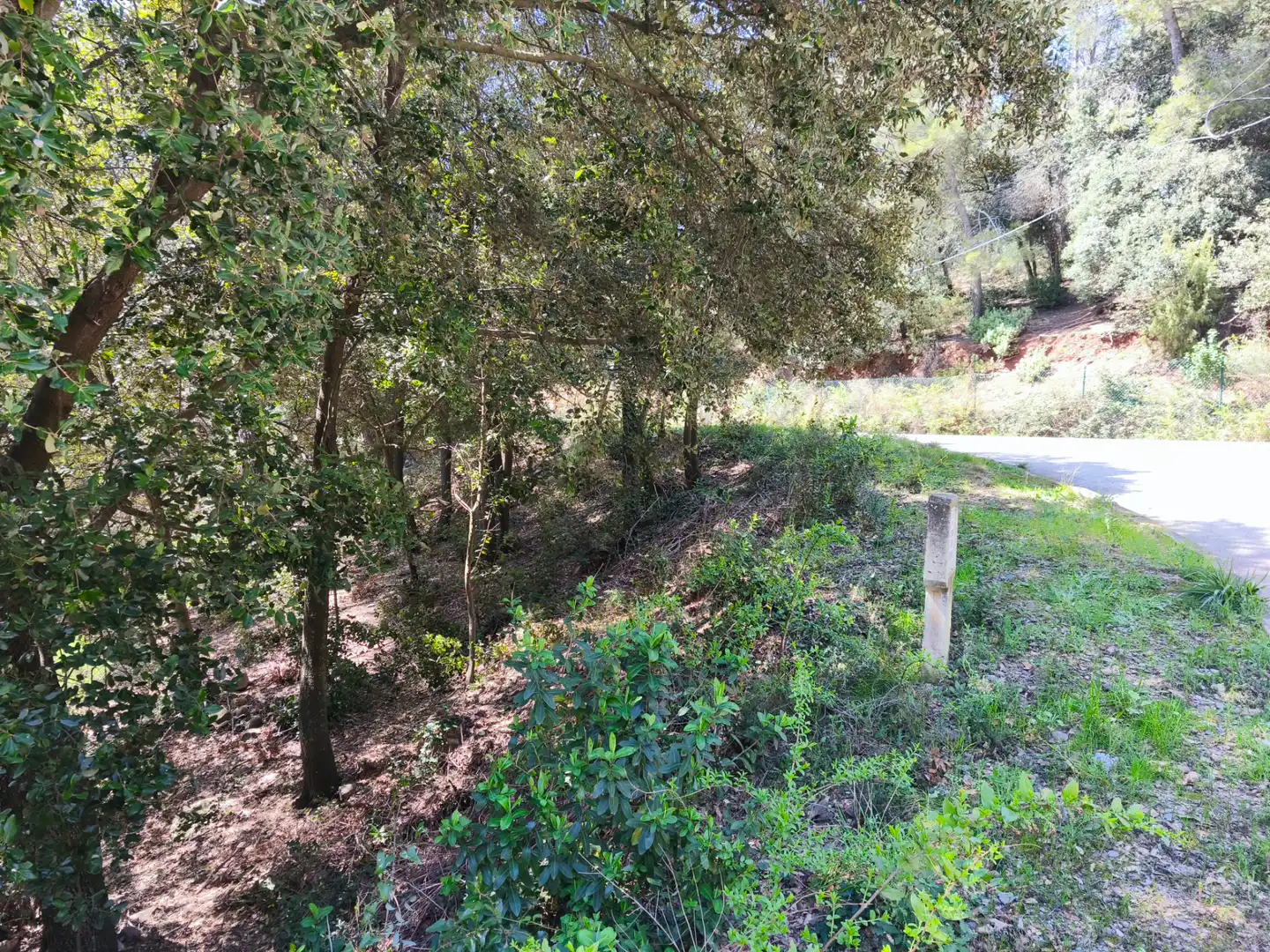 Terrain résidentiel à vendre à Carrer de la Font del Querol 19, imagen 8