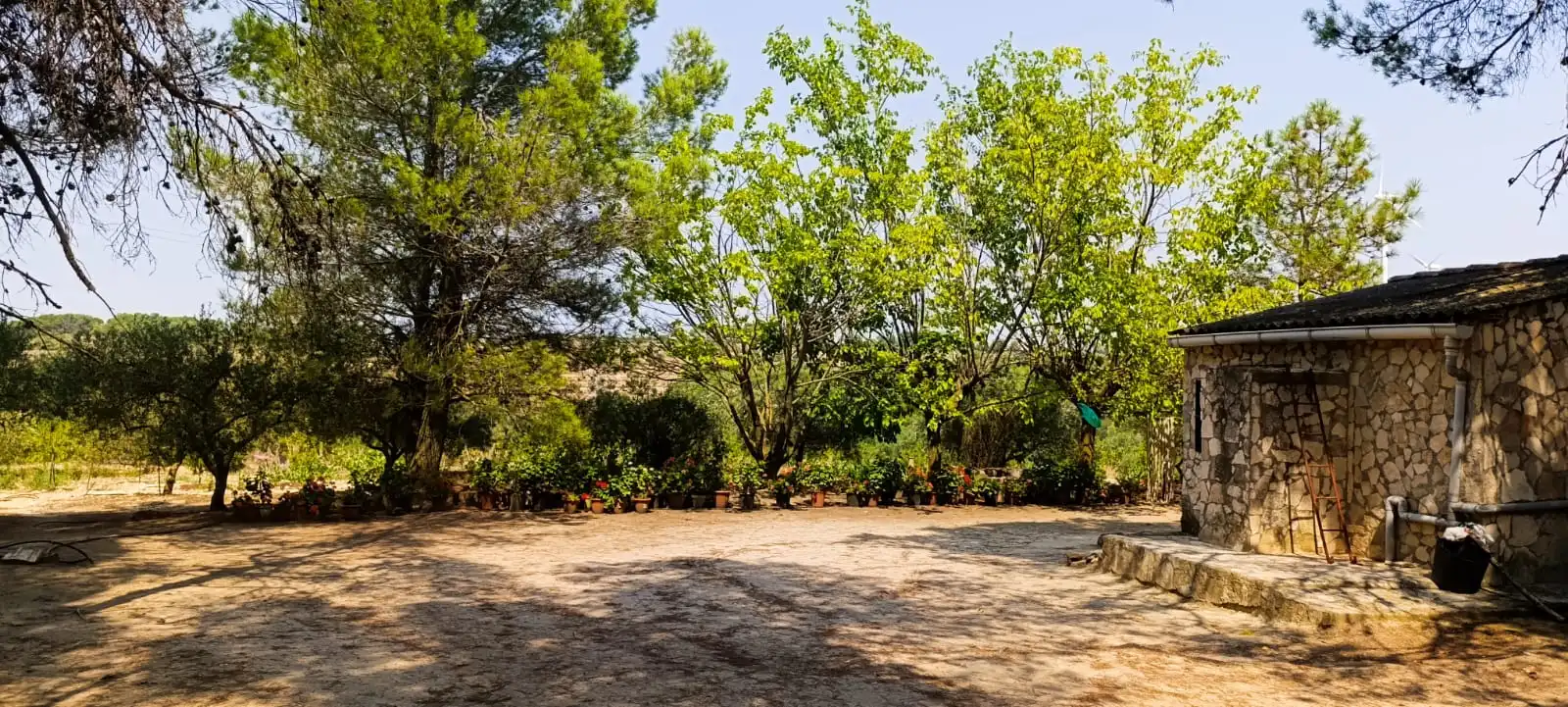 Jardí de Residencial en venda en Vilalba dels Arcs