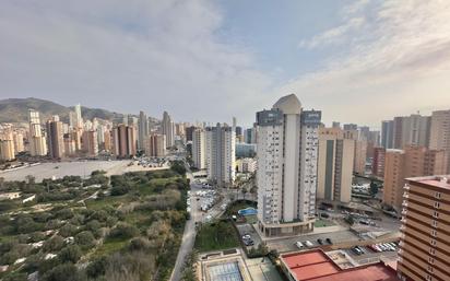 Vista exterior de Apartament en venda en Benidorm amb Jardí privat, Terrassa i Piscina comunitària