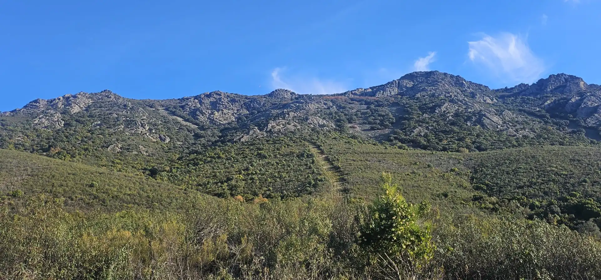 Terreni e lotti in vendita a Alía, imagen 9