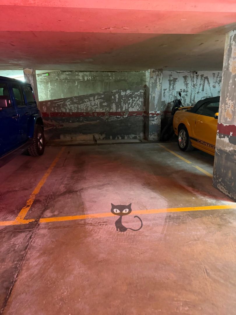 Parking of Garage for sale in Massanassa  with Alarm