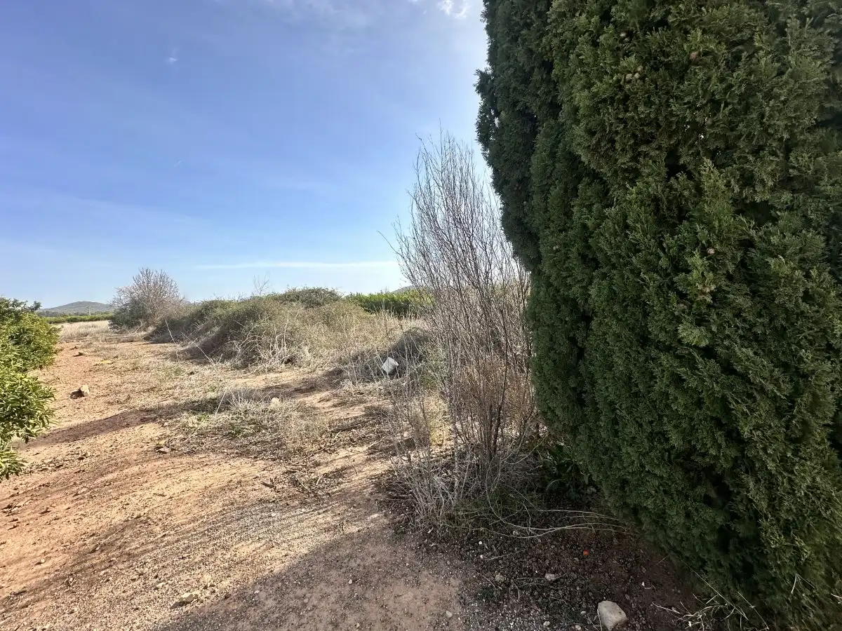 Terreno residencial en venta en Algímia de Alfara, imagen 6