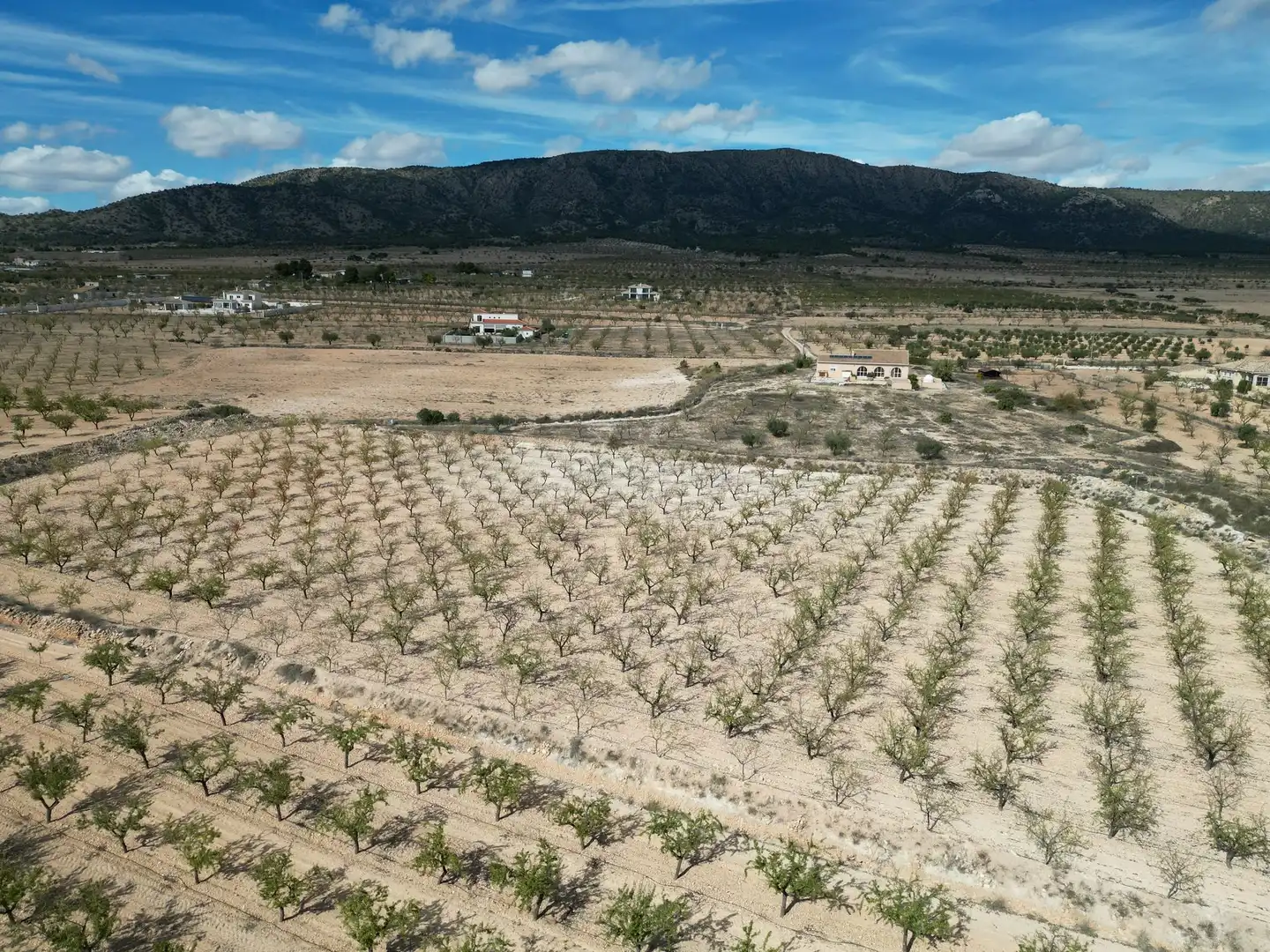 Wohnbaugrundstück zum Verkauf in El Pinós / Pinoso, imagen 5