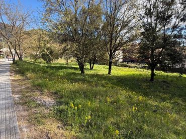 Terrain résidentiel à vendre à Passeig de Can Figueres 33
