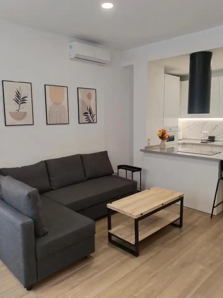 Sala d'estar de Pis de lloguer en Barrio de Salamanca