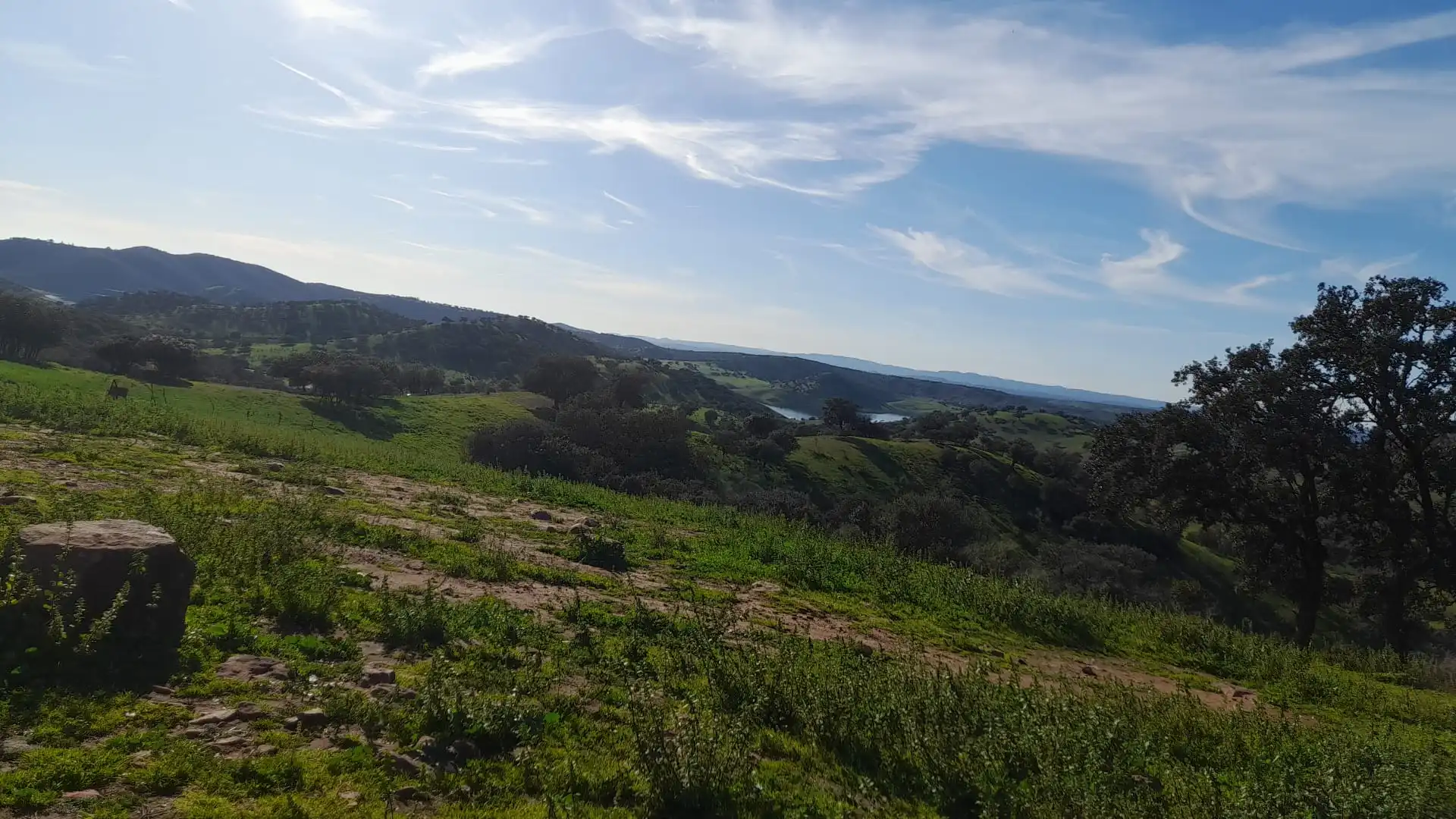 Terreno en venta en Vilches