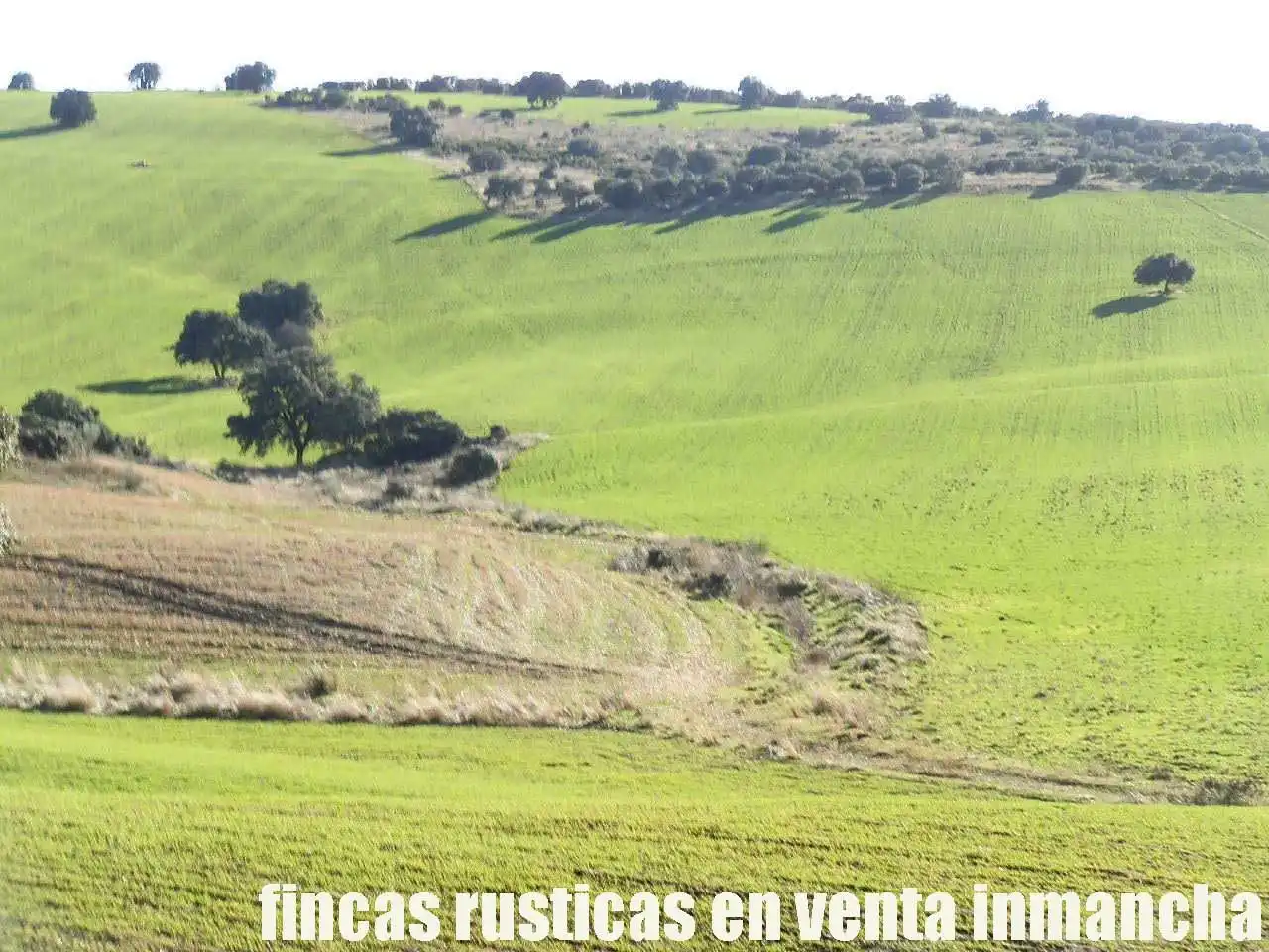 Terreny rústic en venda a Viso del Marqués, imagen 10
