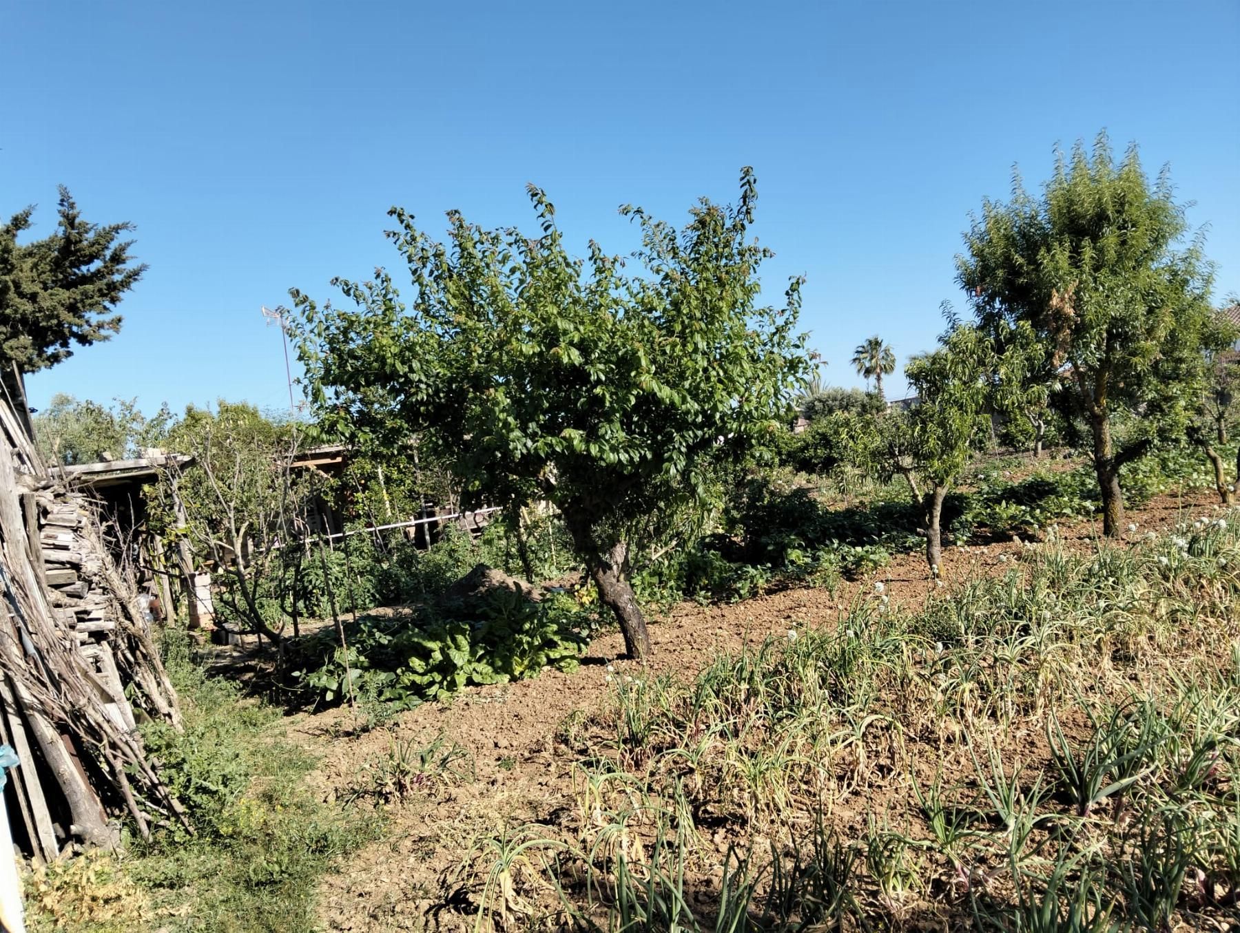 Finca rústica en venta en Chiclana de la Frontera