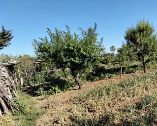 Country house for sale in Chiclana de la Frontera