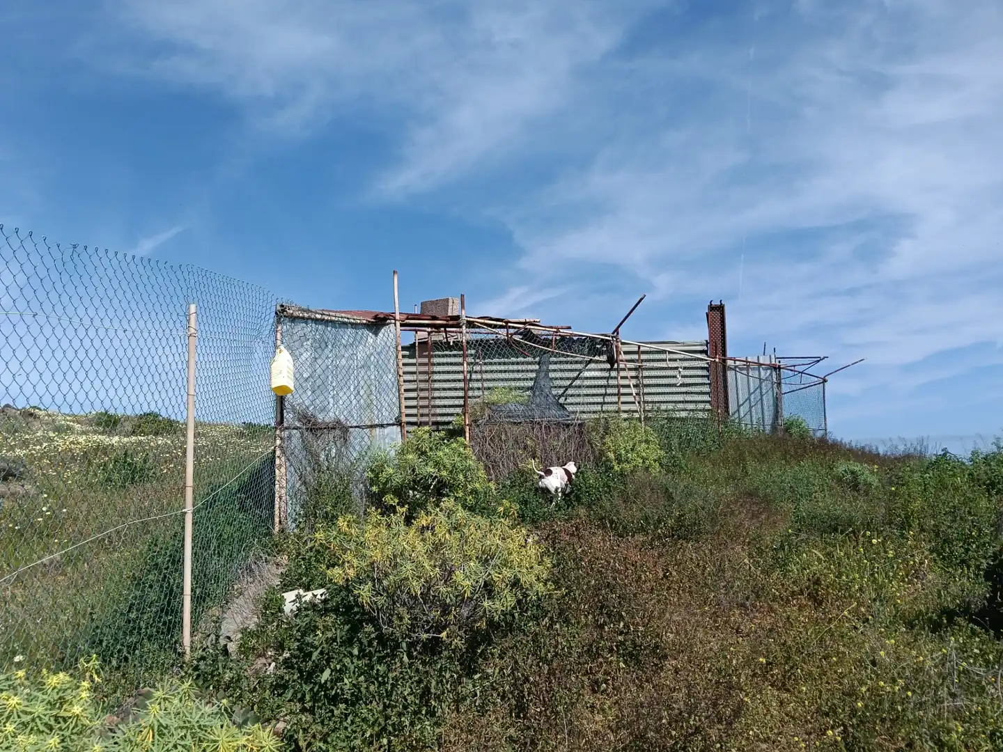 Rural land for sale in Sequero, imagen 14