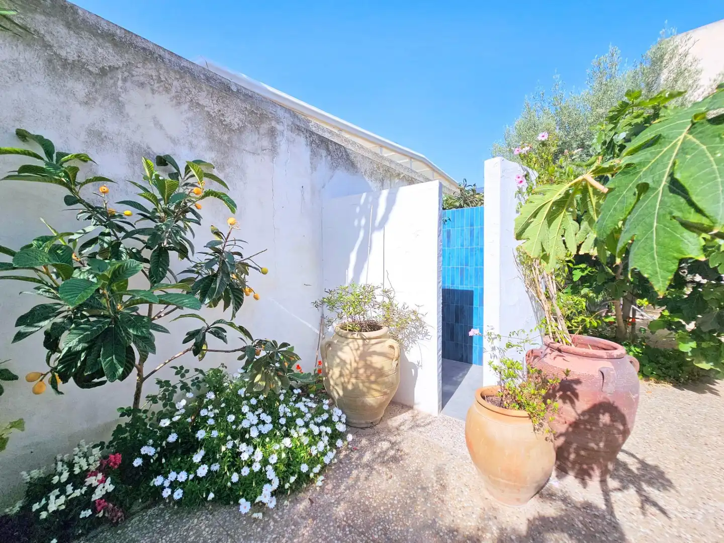 Casa o chalet en venta en Calle LA PINTA, San Pedro del Pinatar ciudad