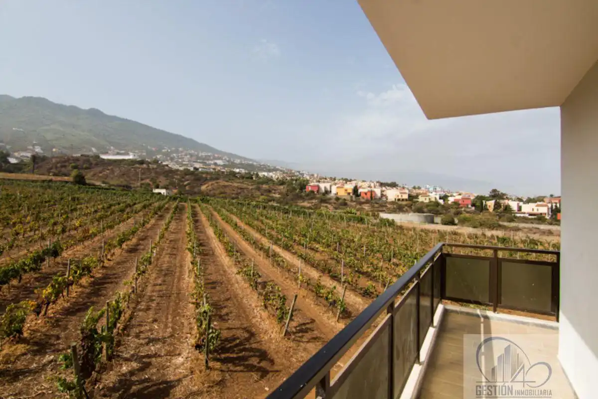 Vista exterior de Finca rústica en venda en Santa Úrsula amb Terrassa i Balcó