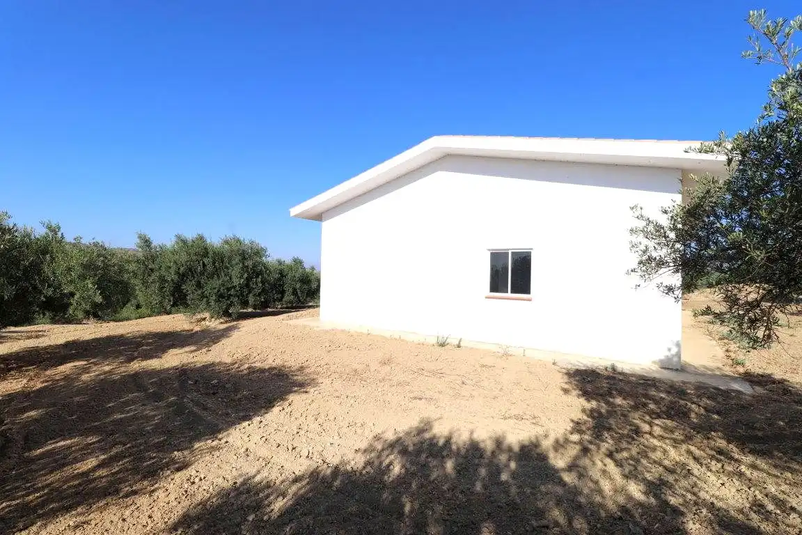 Vista exterior de Finca rústica en venta en Alhaurín El Grande