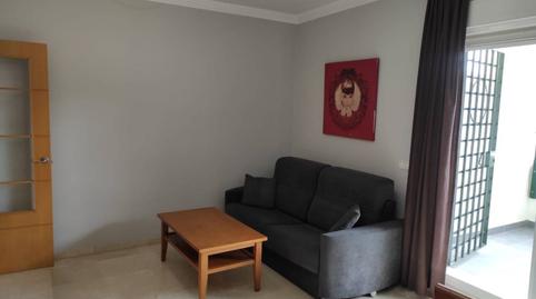 Photo 4 of Apartment to rent in Montealto - Monterrey, Málaga