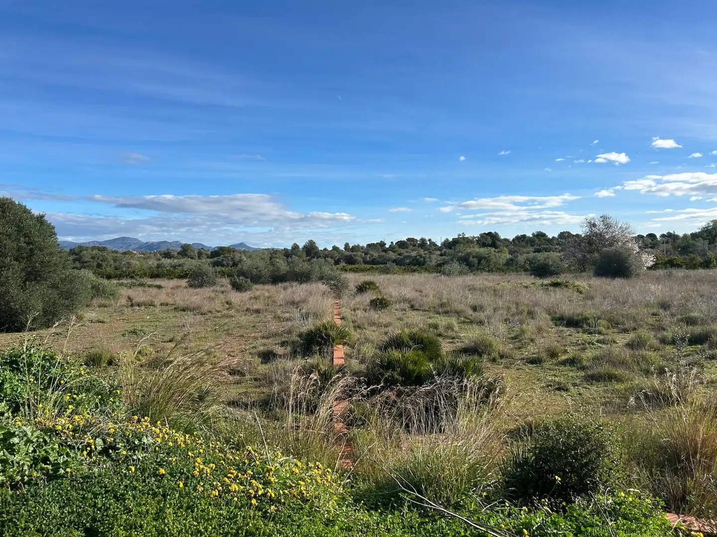 Rural land for sale in La Conarda - Montesano