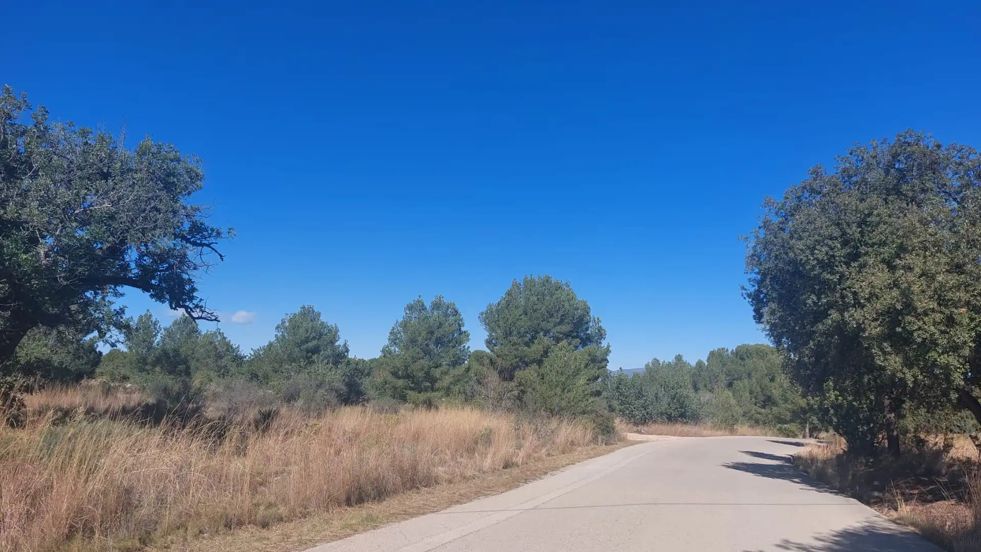 Terrain rustique à vendre à Camí de Paterna - Lloma del Calderer, imagen 6
