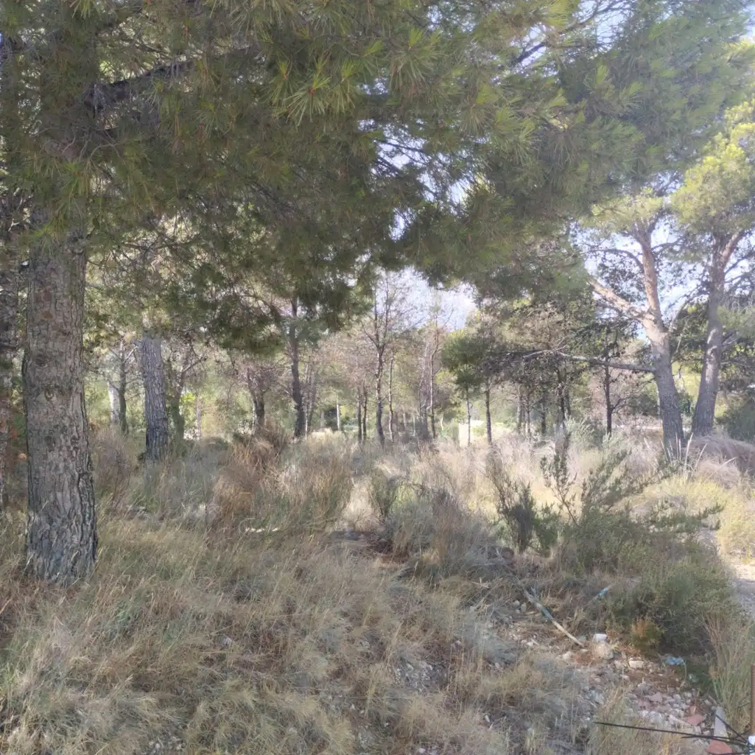 Terrenys i solars en venda a Golf Bahía, imagen 4