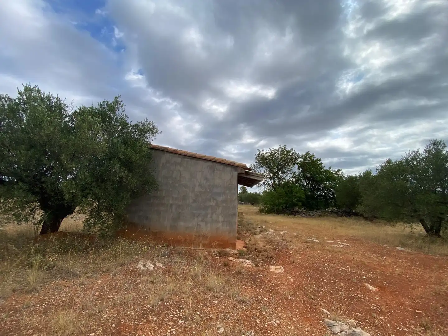 Finca rústica en venta en Bolbaite