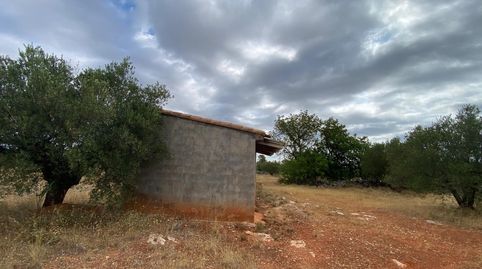 Foto 4 de Finca rústica en venta en Bolbaite, Valencia