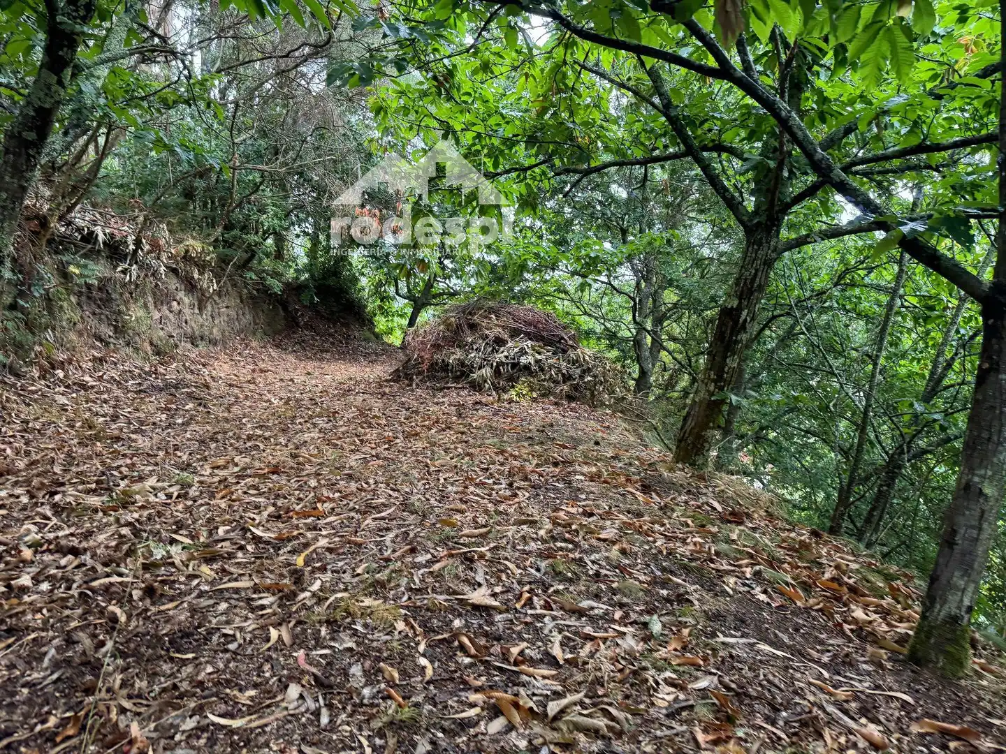 Haus oder Chalet zum Verkauf in Sanxenxo mit Heizung, Abstellraum und Möbliert