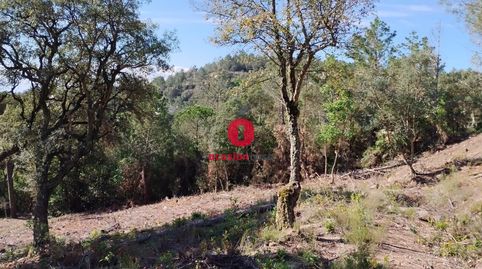 Foto 2 de Residencial en venda a Calle Castor, 49, Riudarenes, Girona