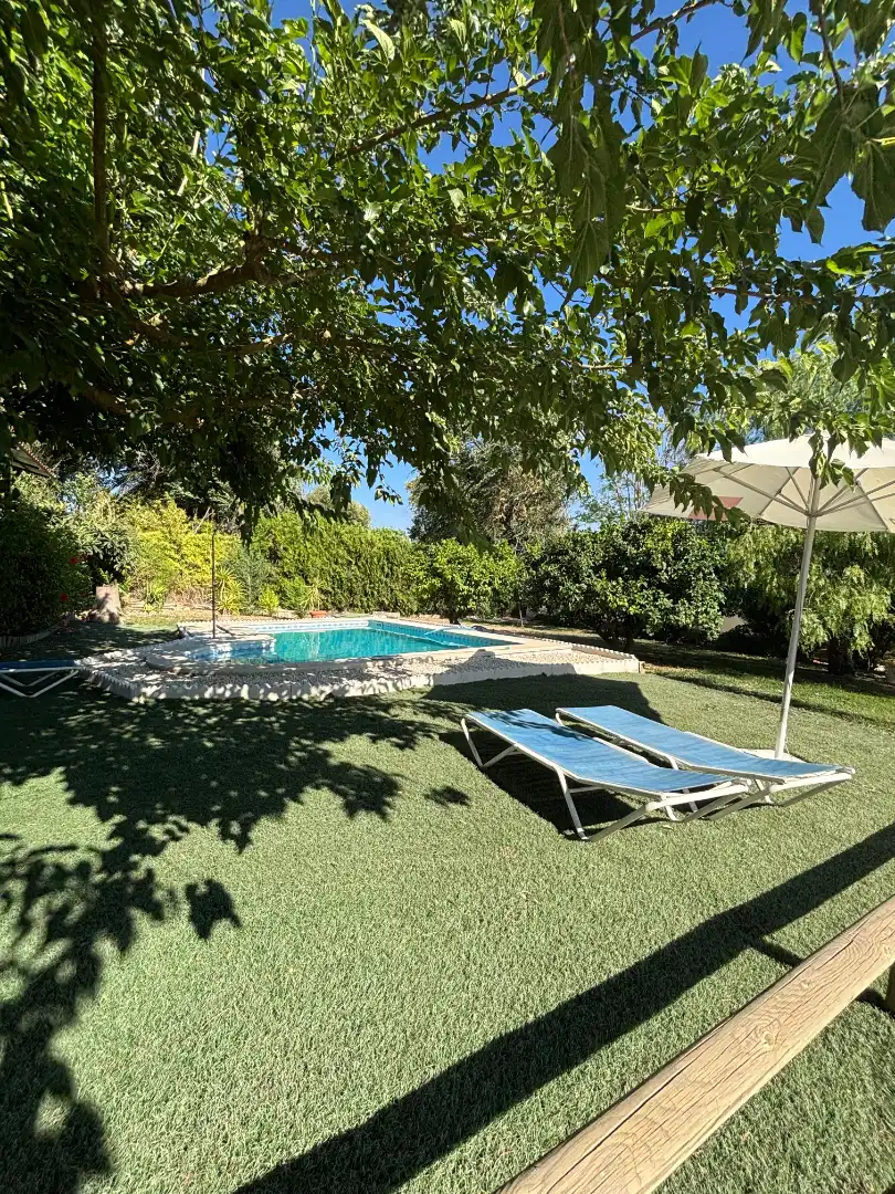 Piscina de Finca rústica en venta en Almensilla con Aire acondicionado, Jardín privado y Terraza
