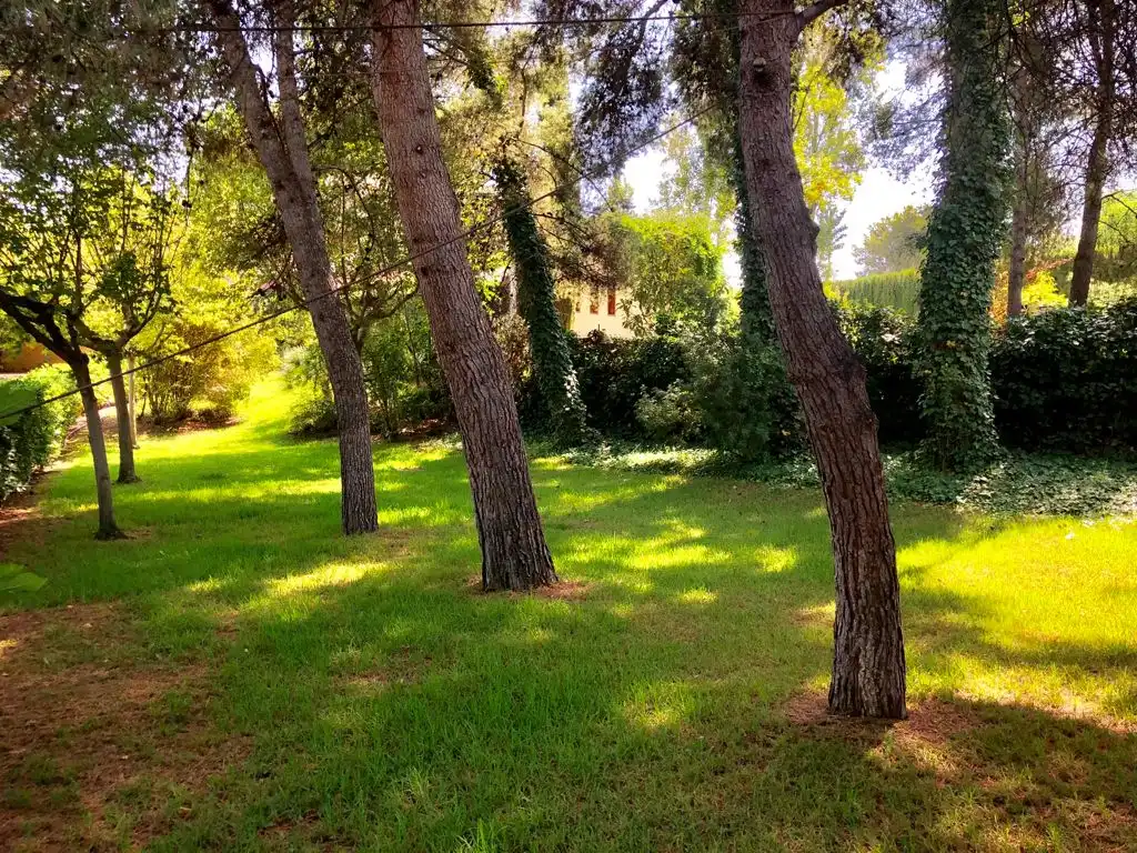 Villa con piscina in vendita a Avenida las Moreras 7, imagen 37